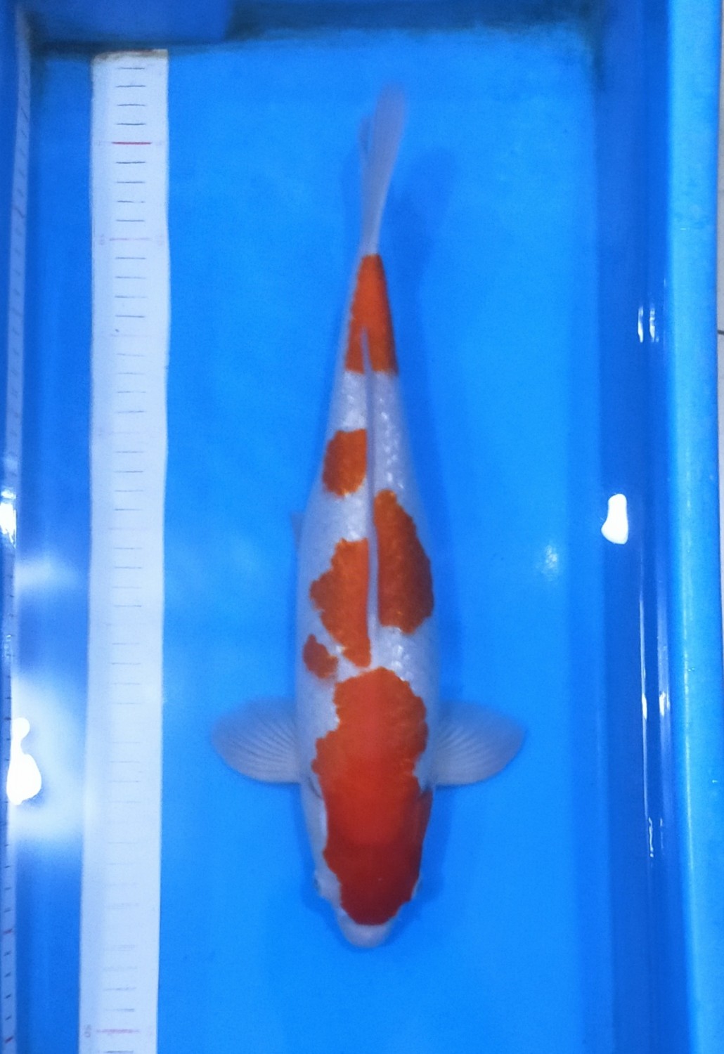 Juara 2