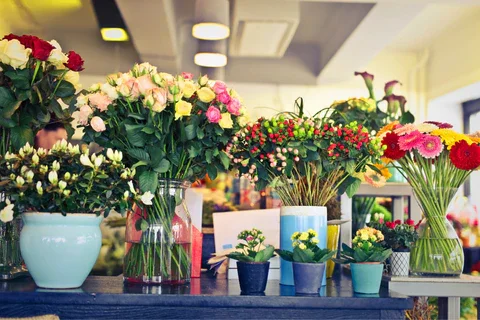 Occasion Arrangements