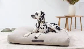 Cozy Cloud Dog Bed