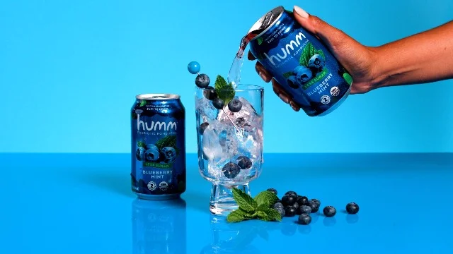 Blueberry Mint Kombucha