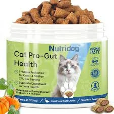 Cat Gut Health Probiotic