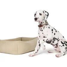Cozy Cloud Dog Bed