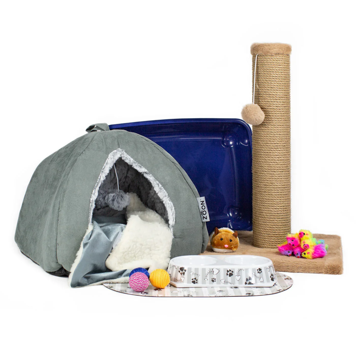 Kitten Starter Pack