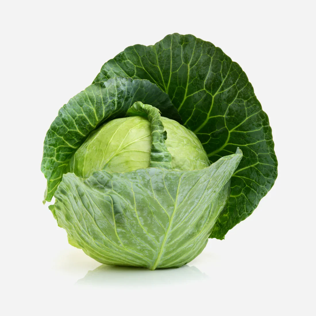 Farm Fresh Green Cabbage