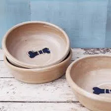 Slow Feed Ceramic Bowl