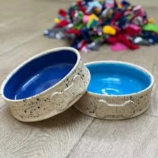 Slow Feed Ceramic Bowl