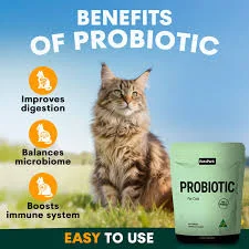 Cat Gut Health Probiotic