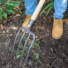 Narrow Border Fork