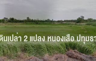 ที่ดินเปล่า หนองเสือ ปทุมธานี 2 แปลง 245+243 ตร.วา แปลงละ 500,000 เท่านั้น!! : โดยนายหน้า/ตัวแทน