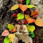 Hanslal Jaishwar