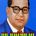 Rohitash Dhanka