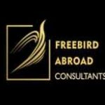 FreebirdAbroad Consultants