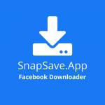 Snap Save id