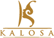 Aesthetics & Cosmetic Surgery in Delhi NCR | Kalosa Aesthetics