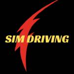 Sim Driving