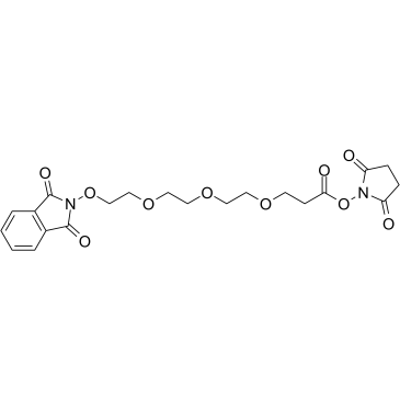 CAS 65869-64-9 Bis-PEG1-NHS ester - ADC / BOC Sciences
