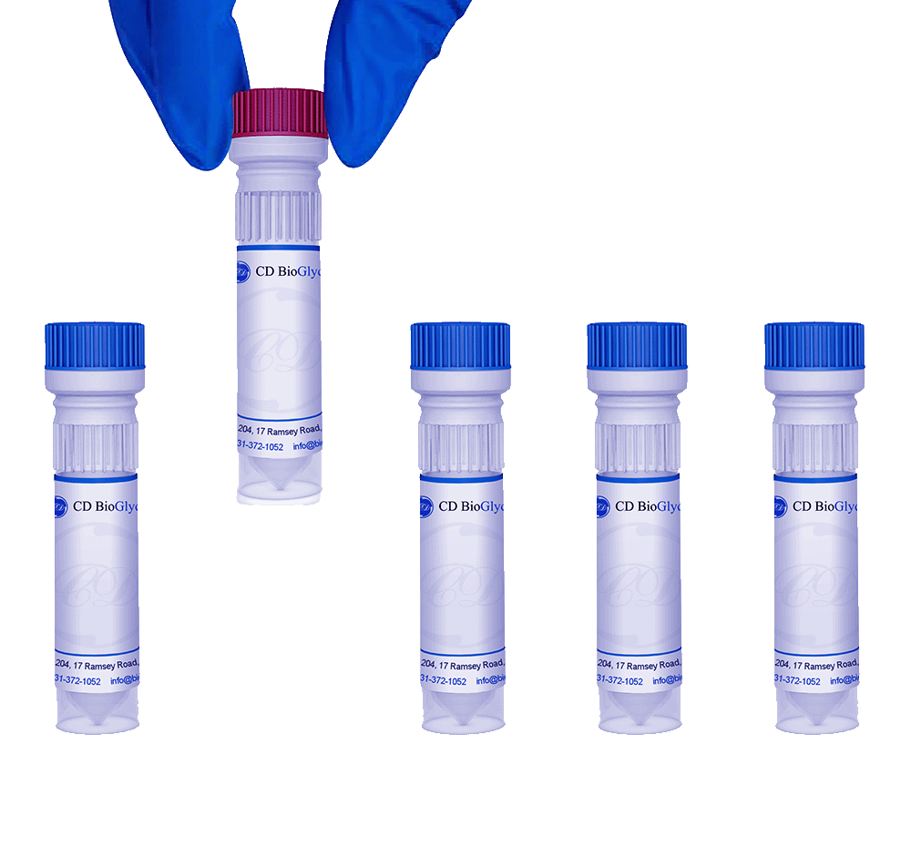 Monosialoganglioside GM1 from bovine brain, ≥95% - CD BioGlyco