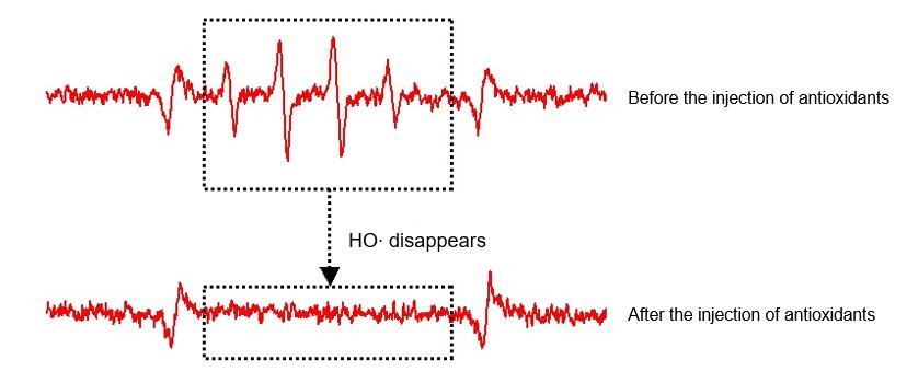 Determination of ROS in Mitochondrial - CD Mitochondria