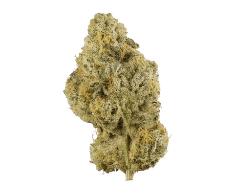 Buy WEDDING CAKE | HYBRID Online in Canada | NupepShrooms