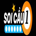 Soi cầu 1 số