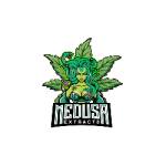 Medusa Extracts