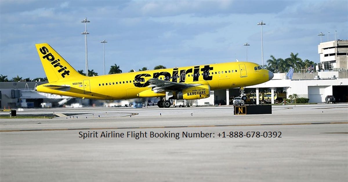 Top 4 Places in Florida to Celebrate Valentine’s Day with that Special Someone