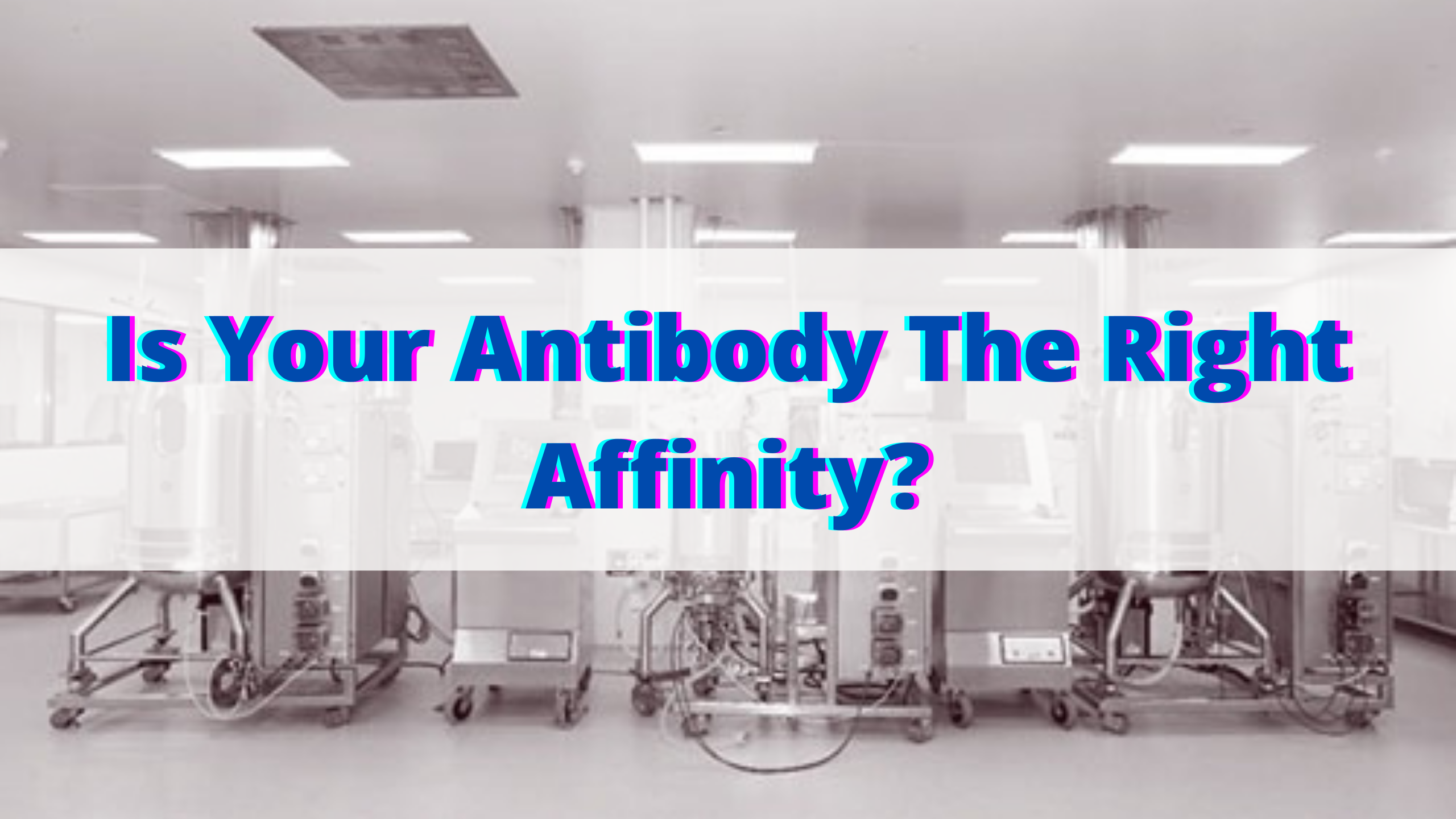 Is Your Antibody The Right Affinity?