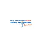 Online Assignment Expert
