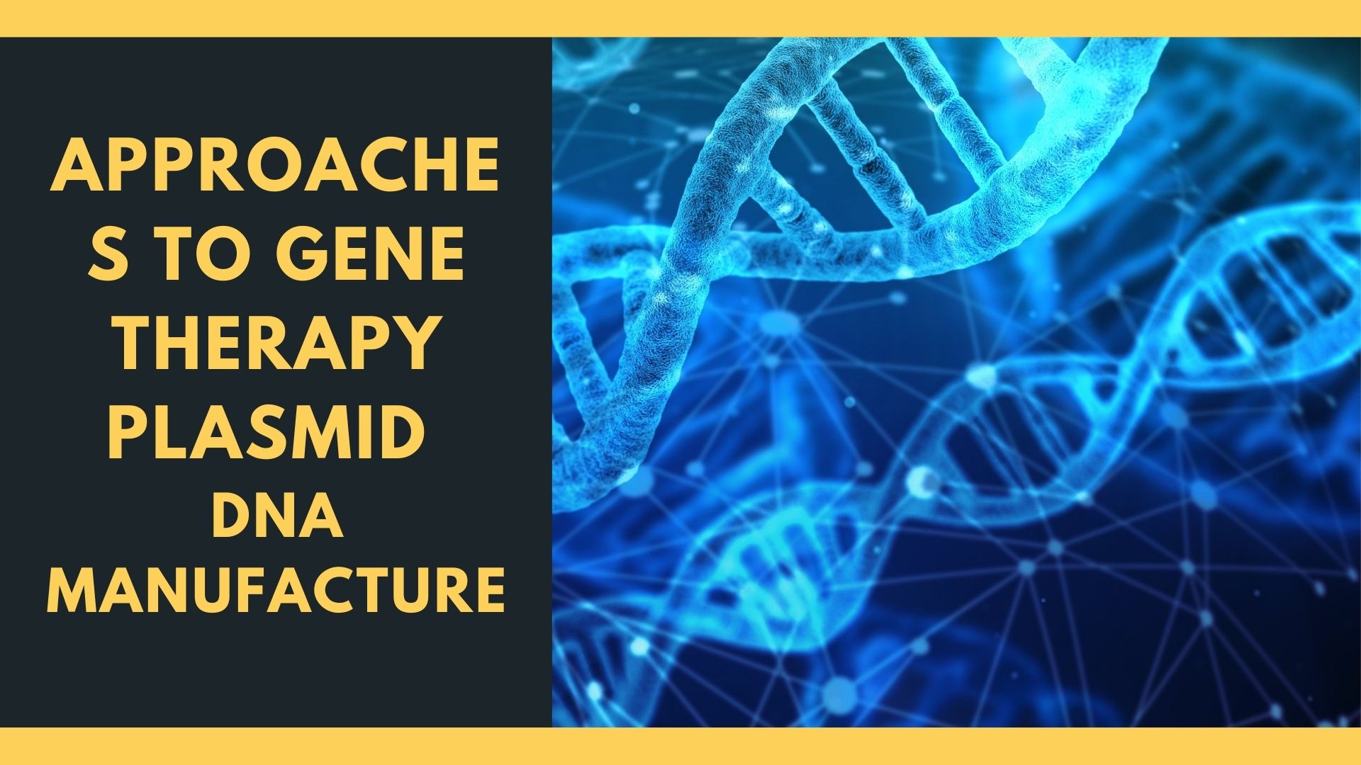 Approaches to Gene Therapy Plasmid DNA Manufacture