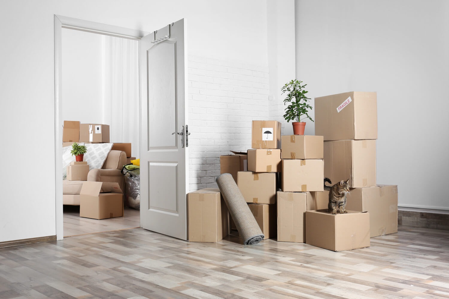 Procedures involved in getting a household goods moving permit – Telegraph