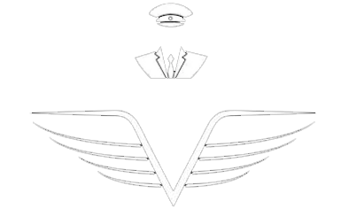 Chauffeur Cars Gippsland - Private Chauffeur Gippsland