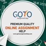 GotoAssignmentHelp