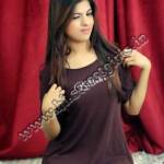 Mohali escort service
