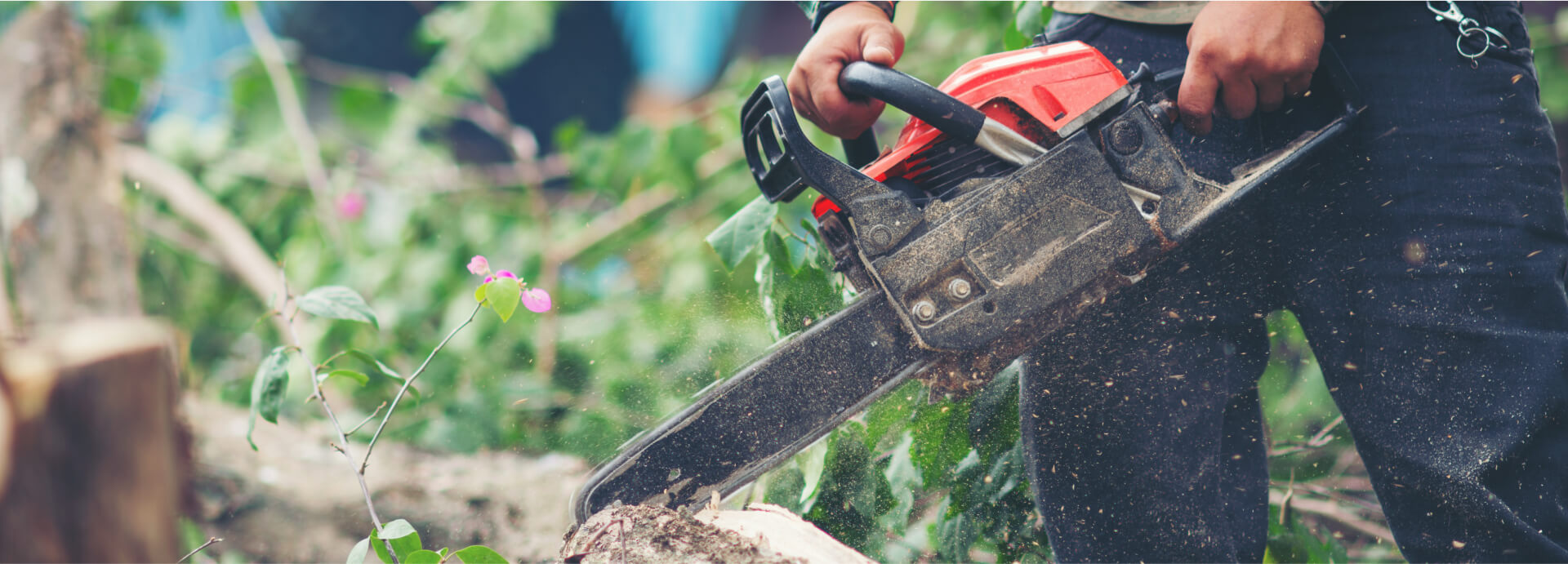 Why You Should Never Attempt DIY Tree Removal