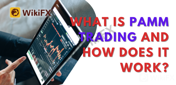What Is PAMM Trading and How Does It Work?-News-WikiFX