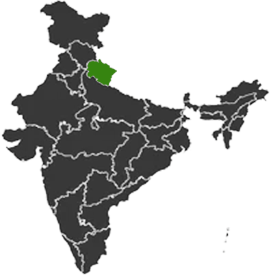 Best NGO for Sanitation/Health/Education & Charity Organization in Delhi- Satya Shakti Foundation