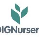 DIG Nursery Calathea Care