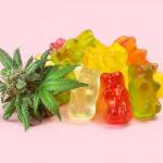 Shark Tank CBD Gummies