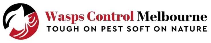 Wasp Control Melbourne