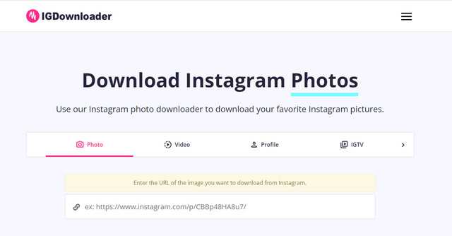 User Image