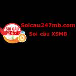 Soicau247 MB