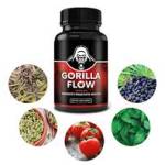 Gorilla Flow
