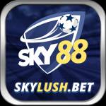 Sky 88