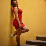 Pune Escorts Service