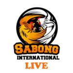 sabong international