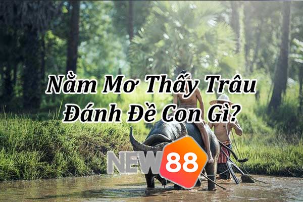 Nằm Mơ Thấy Trâu Đánh Đề Con Gì? Các số về giấc mơ trâu