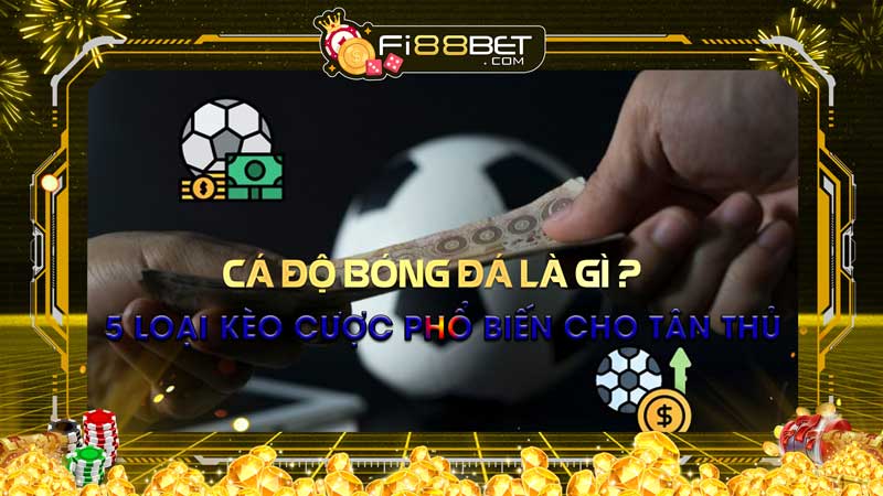 Cá độ bóng đá là gì? 5 loại kèo cá cược phổ biến cho tân thủ