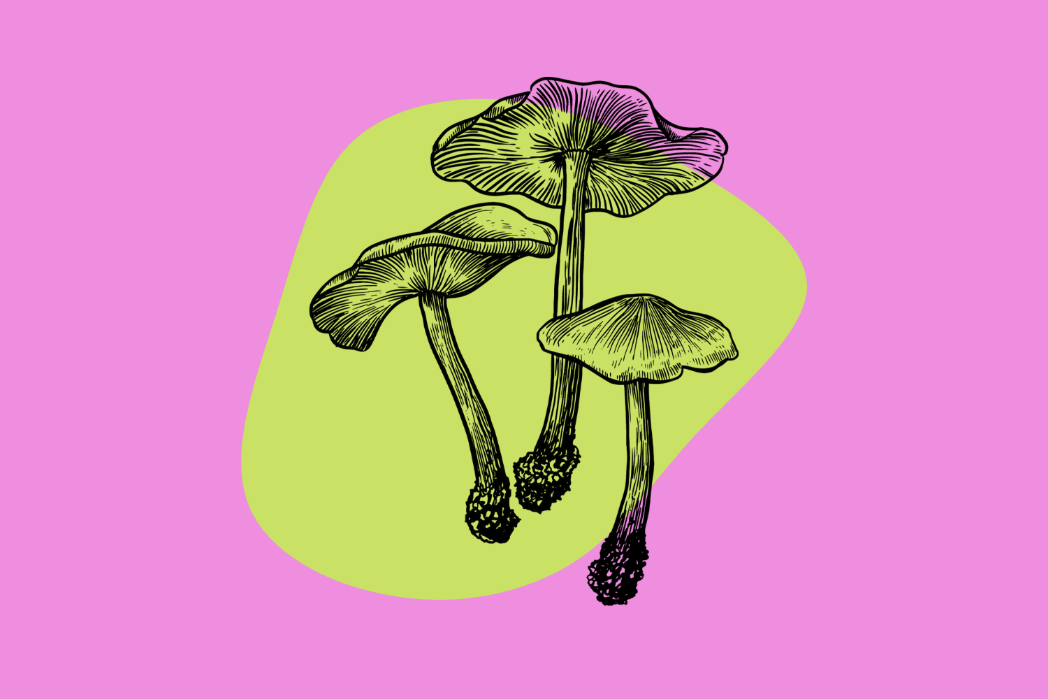 Magic Mushrooms 101: Everything You Need To Know Before You Trip - Tripsitter