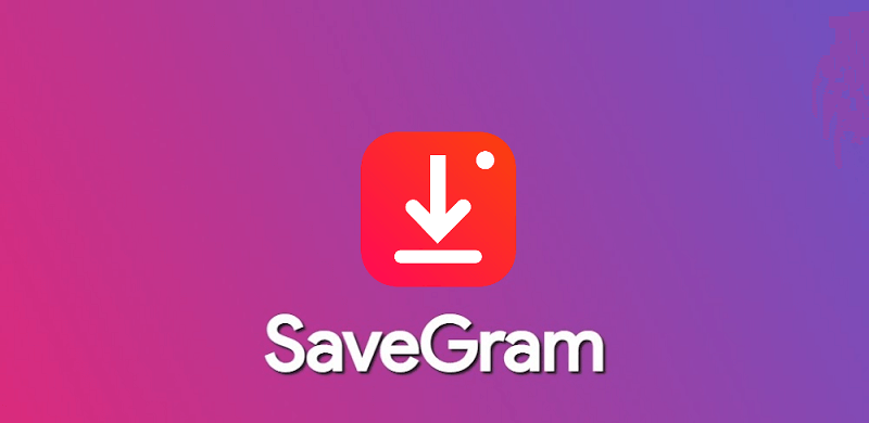 Download Instagram Video, Photos, IGTV & Reels - SaveGram.Info