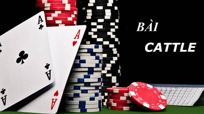Hướng dẫn cách chơi Catte hiệu quả để giành chiến thắng